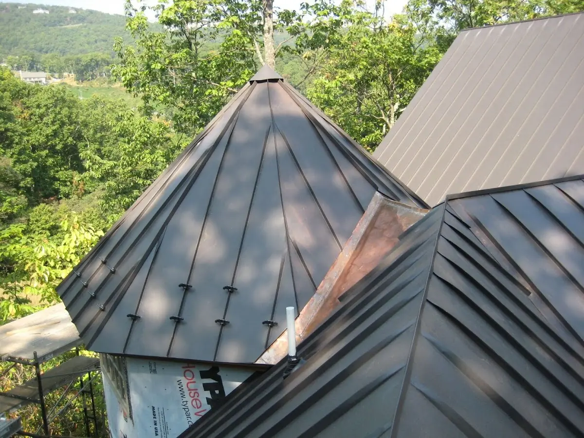 Professional Gutter Cleaning by Craftsman Roofing in Petaluma